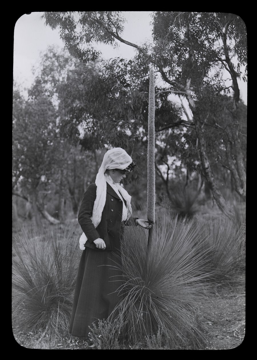 Amy och Xanthorrhoea av Archibald James Campbell