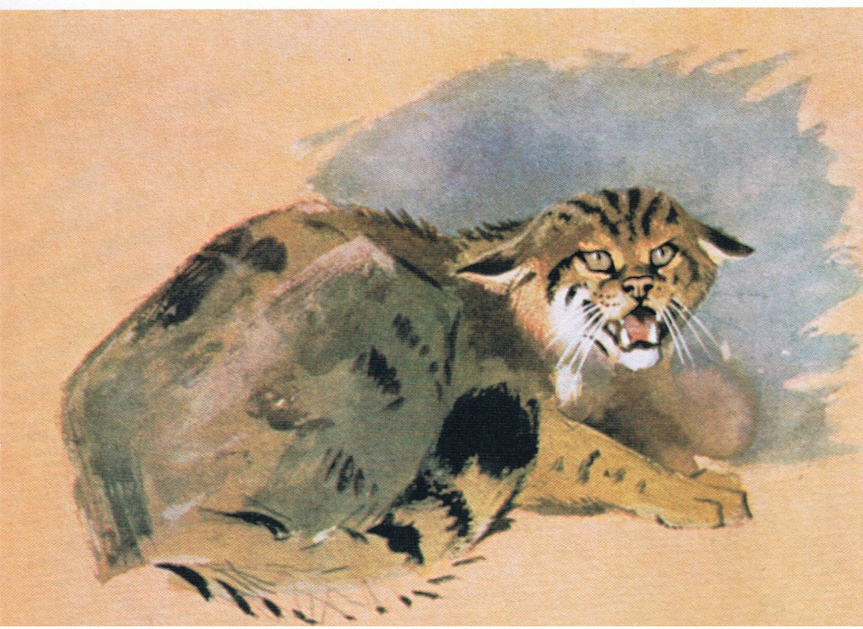 Wildcat, utgiven av Book Club Associates, 1972 av Archibald Thorburn