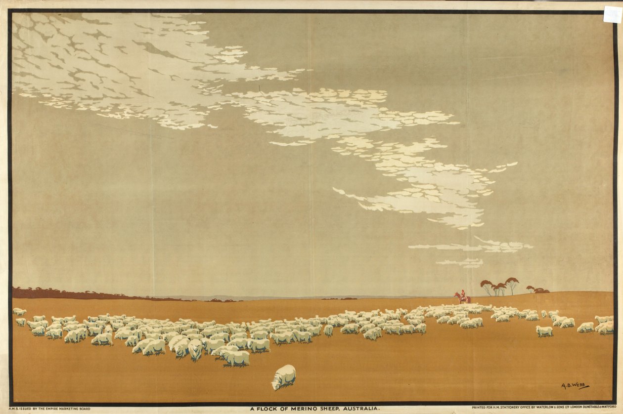 A Flock of Merino Sheep - Australien, från serien 