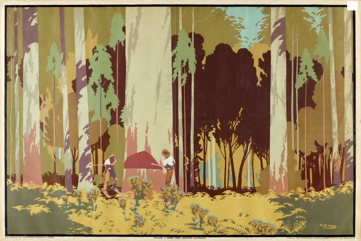 Felling a Karri Tree, Western Australia, från serien 