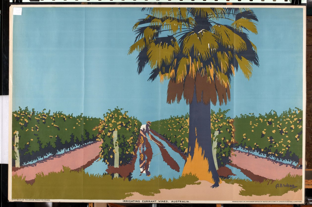 Bevattna vinbärsrankor - Australien (färg litho) av Archibald Bertram Webb