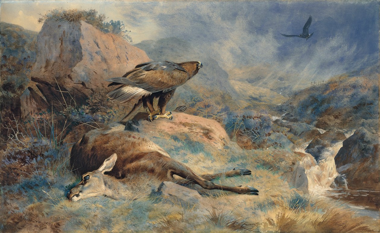 The Lost Hind av Archibald Thorburn