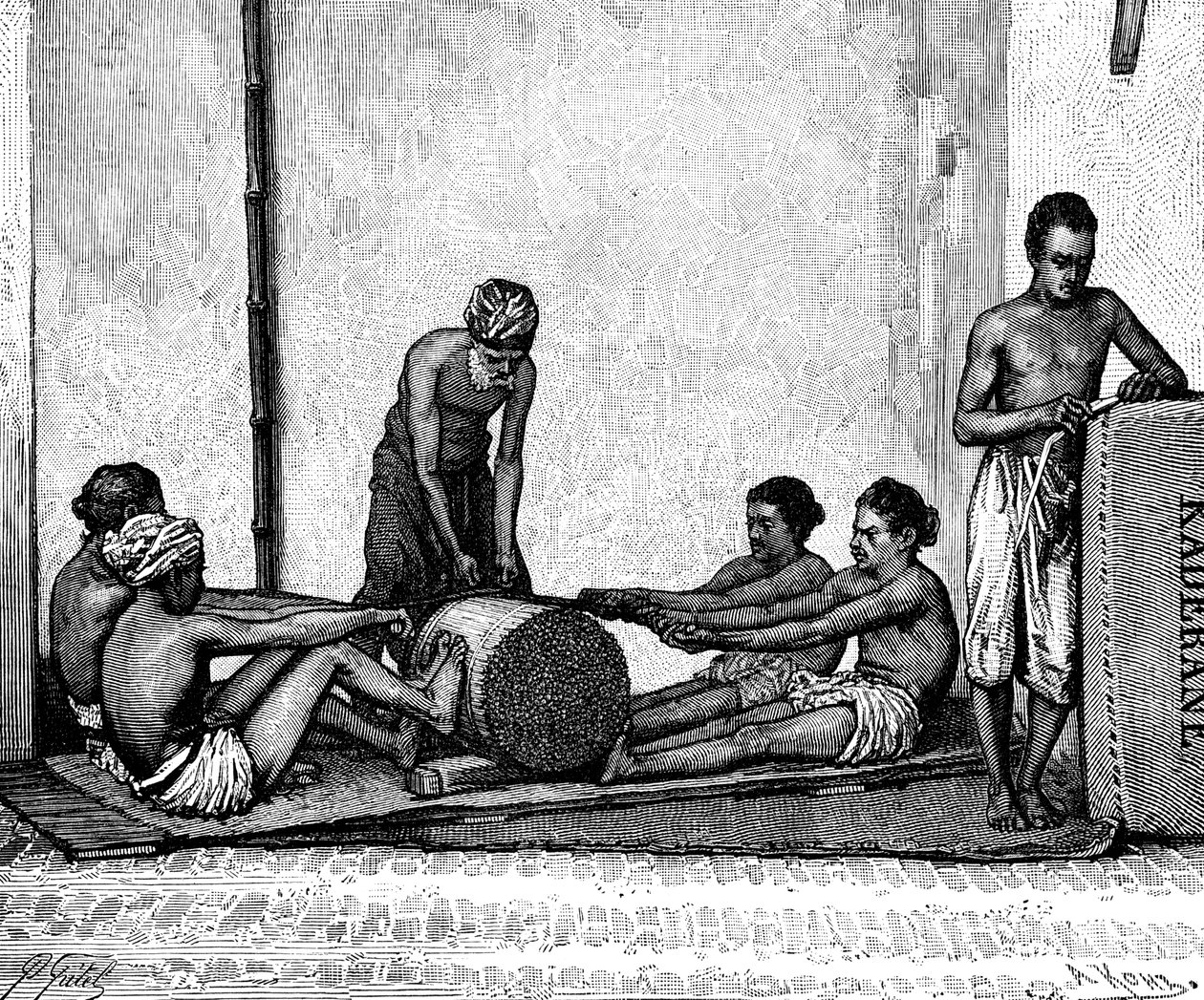 Kanelförpackning, Indien, 1895. av Armand Kohl