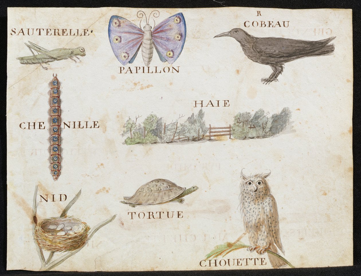 Illustrationer från "A French Alphabet Book of 1814", pub. av Charles Plante Fine Arts, 1814 av Arnaud de Beauregard