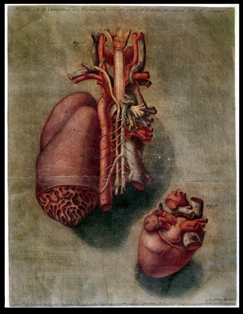 The Heart, tallrik från 