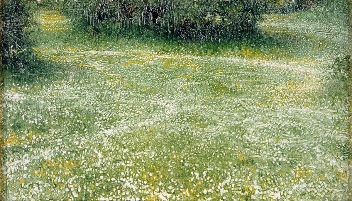  Daisies at Burnhamn:   n av Arthur Hacker