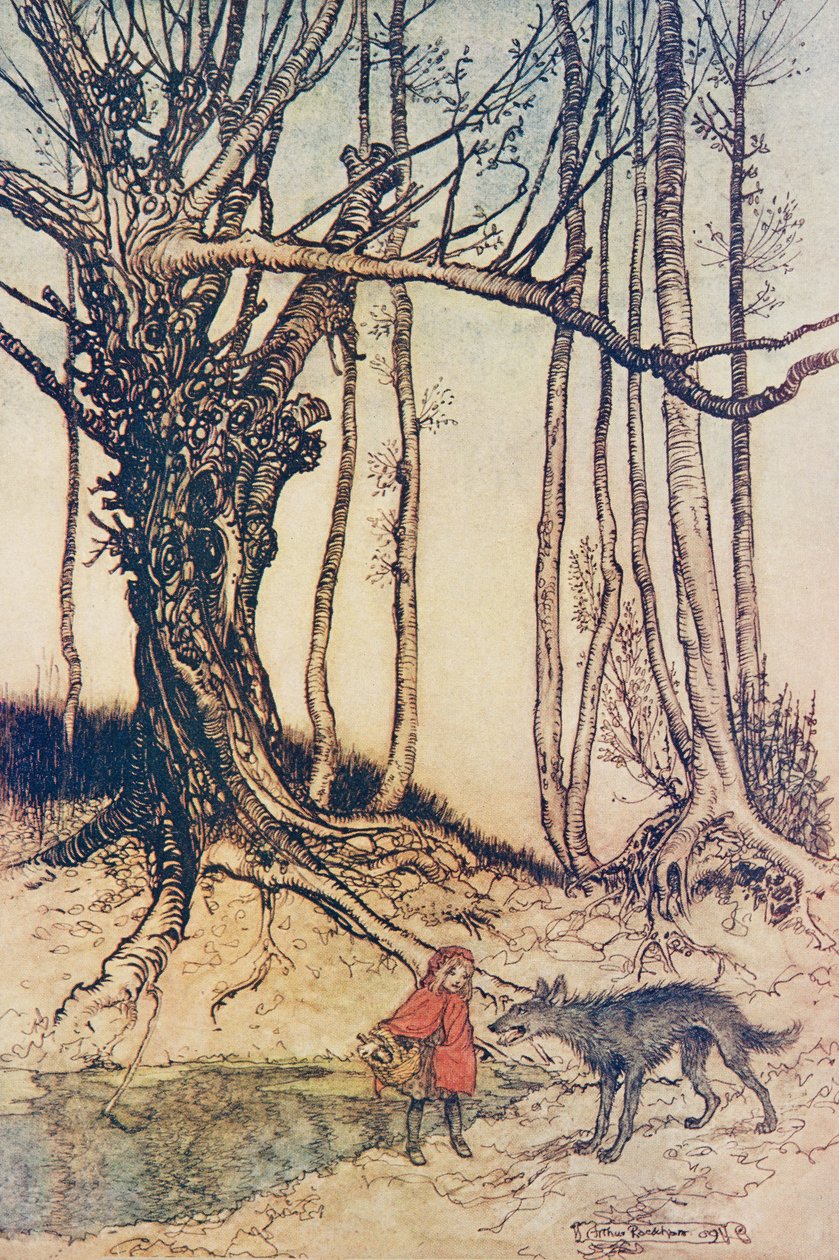 När hon kom till skogen mötte hon en varg .., från Bröderna Grimms sagor, pub. 1909 av Arthur Rackham