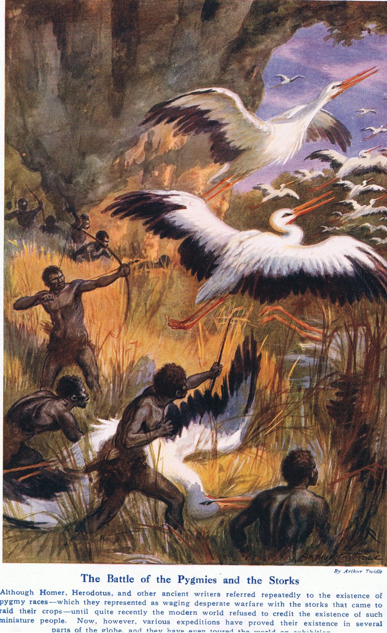 Battle of the Pygmies and the Storks, illustration från "Wonders of Land and Sea", publicerad av Cassell, London, 1914 av Arthur Twidle