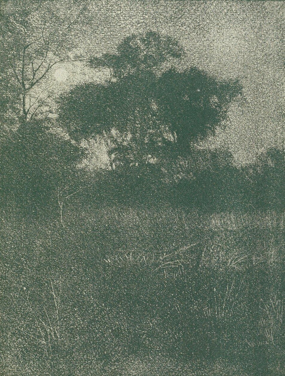 Månsken av Arthur E. Becher