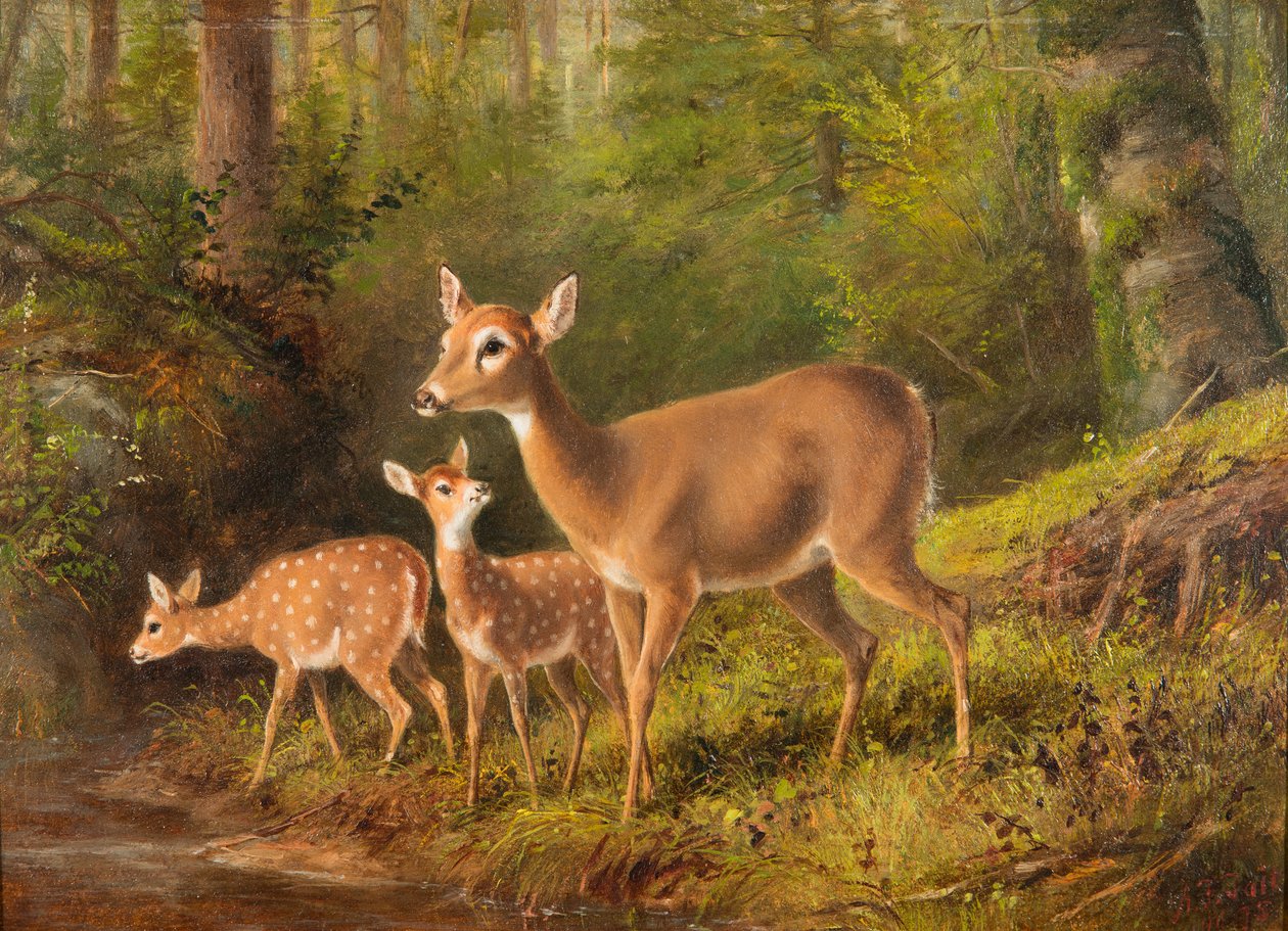 En Doe och två Fawns av Arthur Fitzwilliam Tait