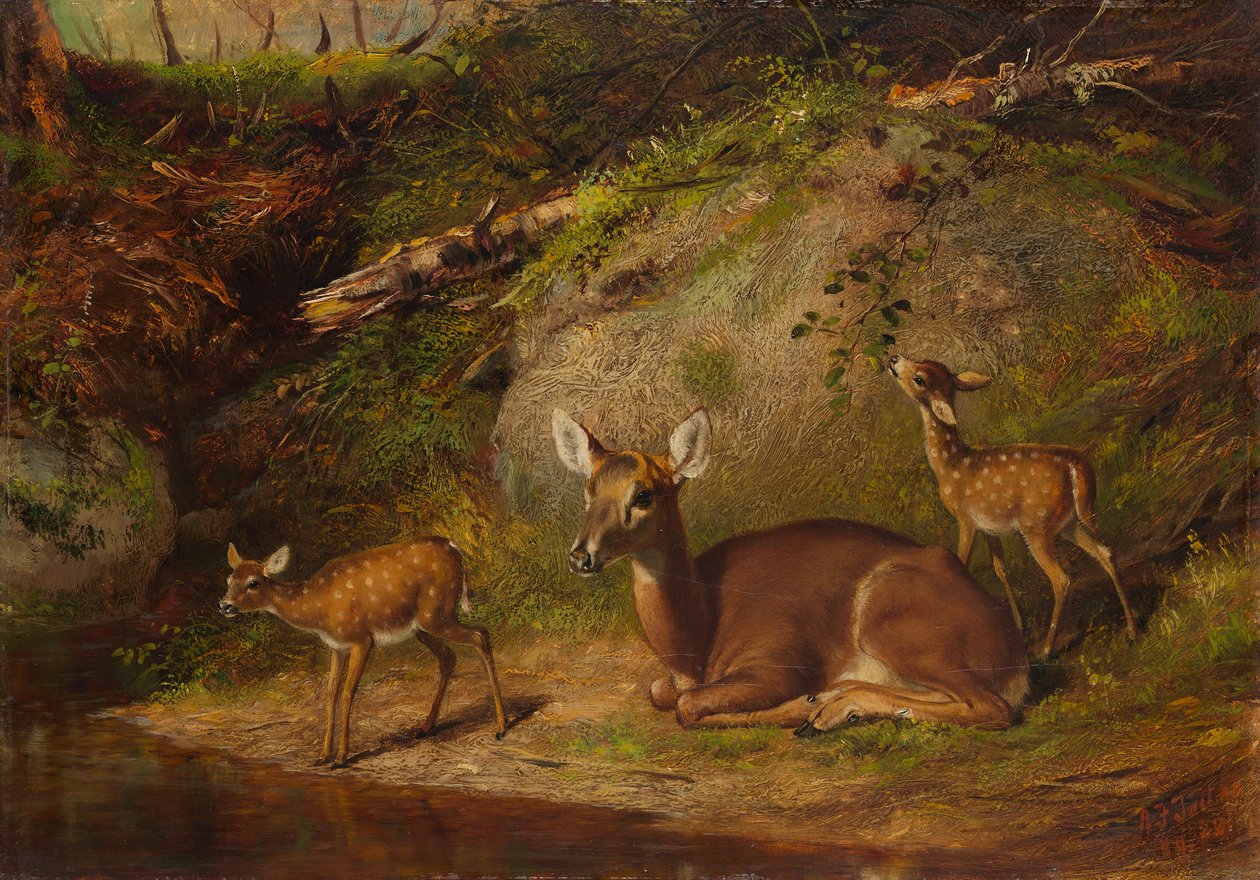 Doe och två fawns, 1882. av Arthur Fitzwilliam Tait