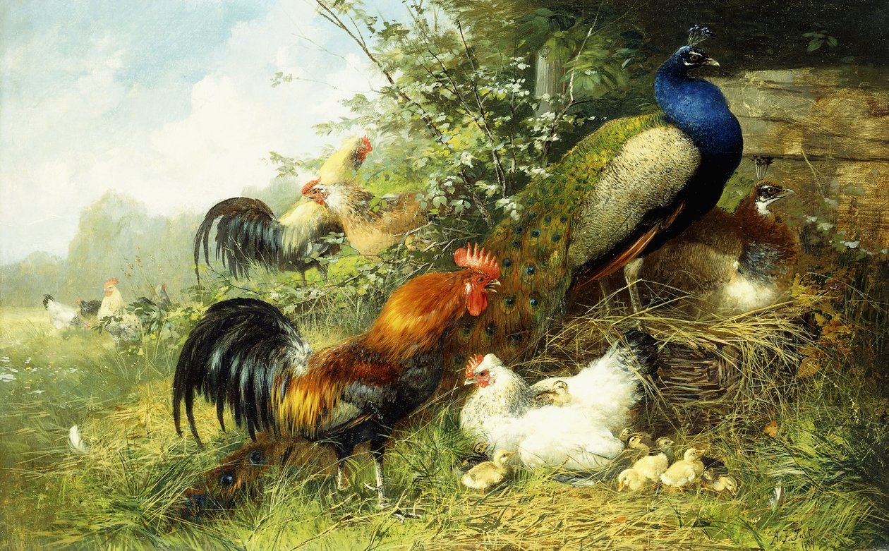 Fåglar och påfåglar, 1899 av Arthur Fitzwilliam Tait