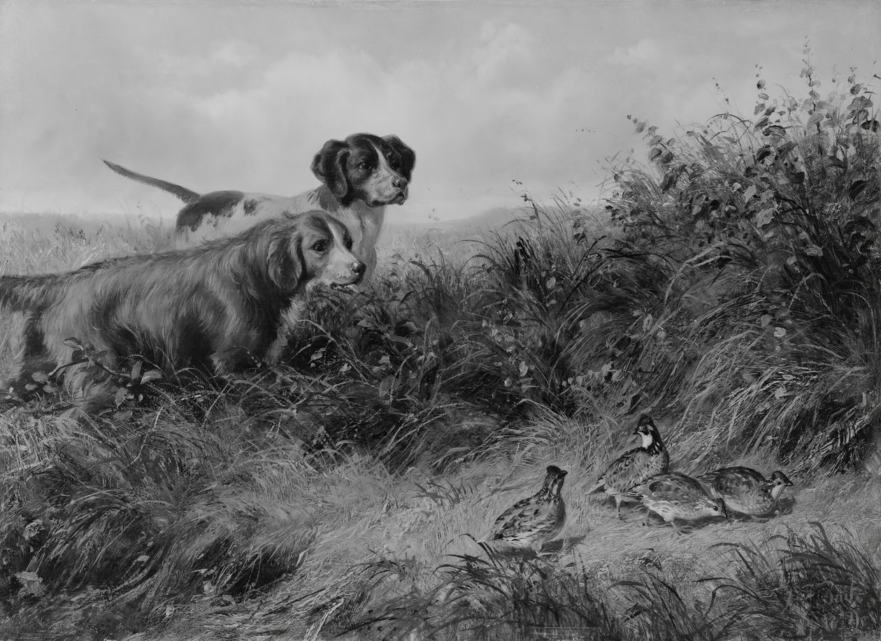 On Point, 1874. av Arthur Fitzwilliam Tait