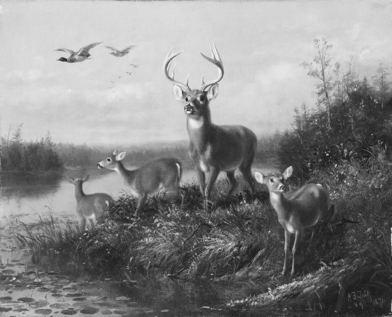 Om Qui Vive, Buck and Three Does, 1871. av Arthur Fitzwilliam Tait