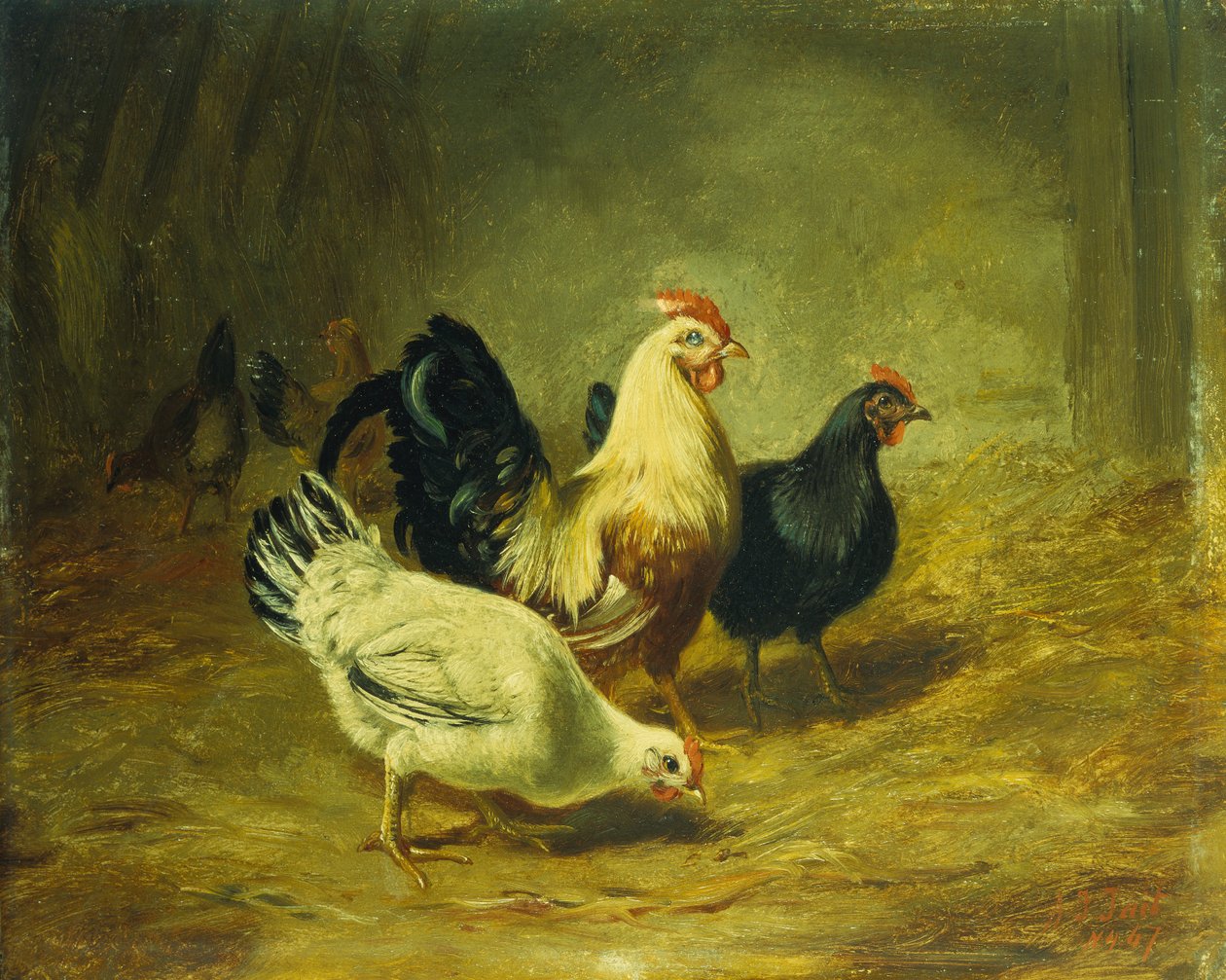 Utfodring av fjäderfä av Arthur Fitzwilliam Tait