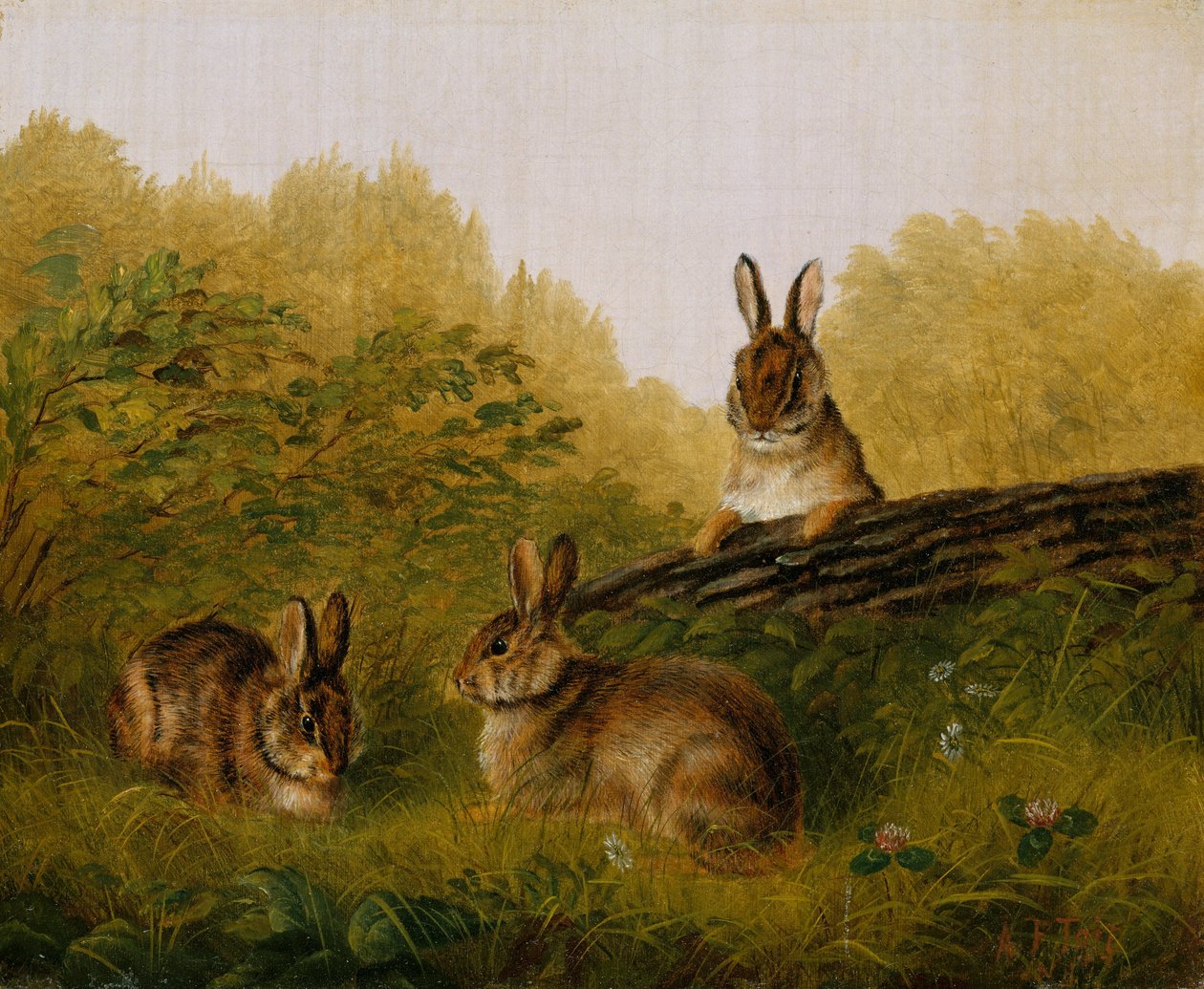 Kaniner på en stock, 1897. av Arthur Fitzwilliam Tait