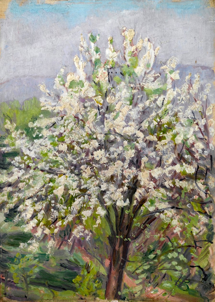 Mandelblomma av Arthur Haythorne Studd