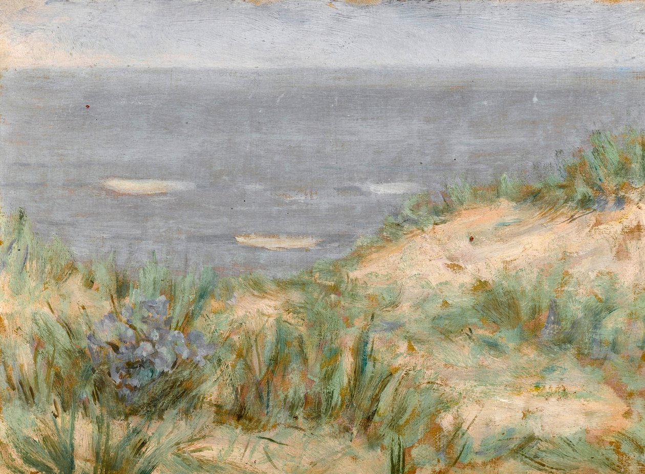 Havsutsikt med sanddyner, blommande sjögräs, ca 1900 av Arthur Haythorne Studd