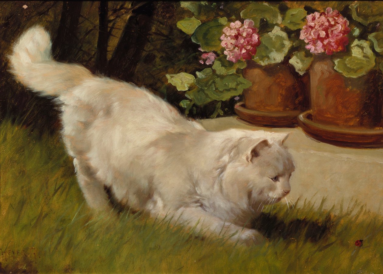 En vit perserkatt med en nyckelpiga (olja ombord) av Arthur Heyer