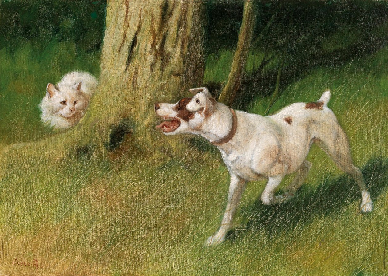 Hund och katt av Arthur Heyer