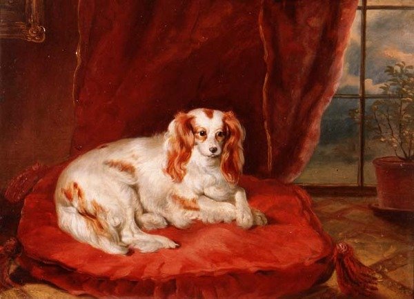 En Cavalier King Charles Spaniel liggande på en röd kudde av Arthur J. Stark