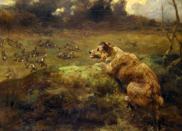 Kaninjägare (olja på duk) av Arthur John Strutt