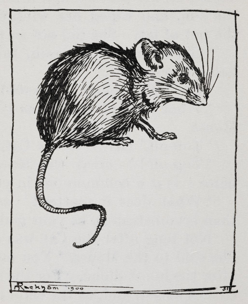 ねずみスウェーデン人 av Arthur Rackham