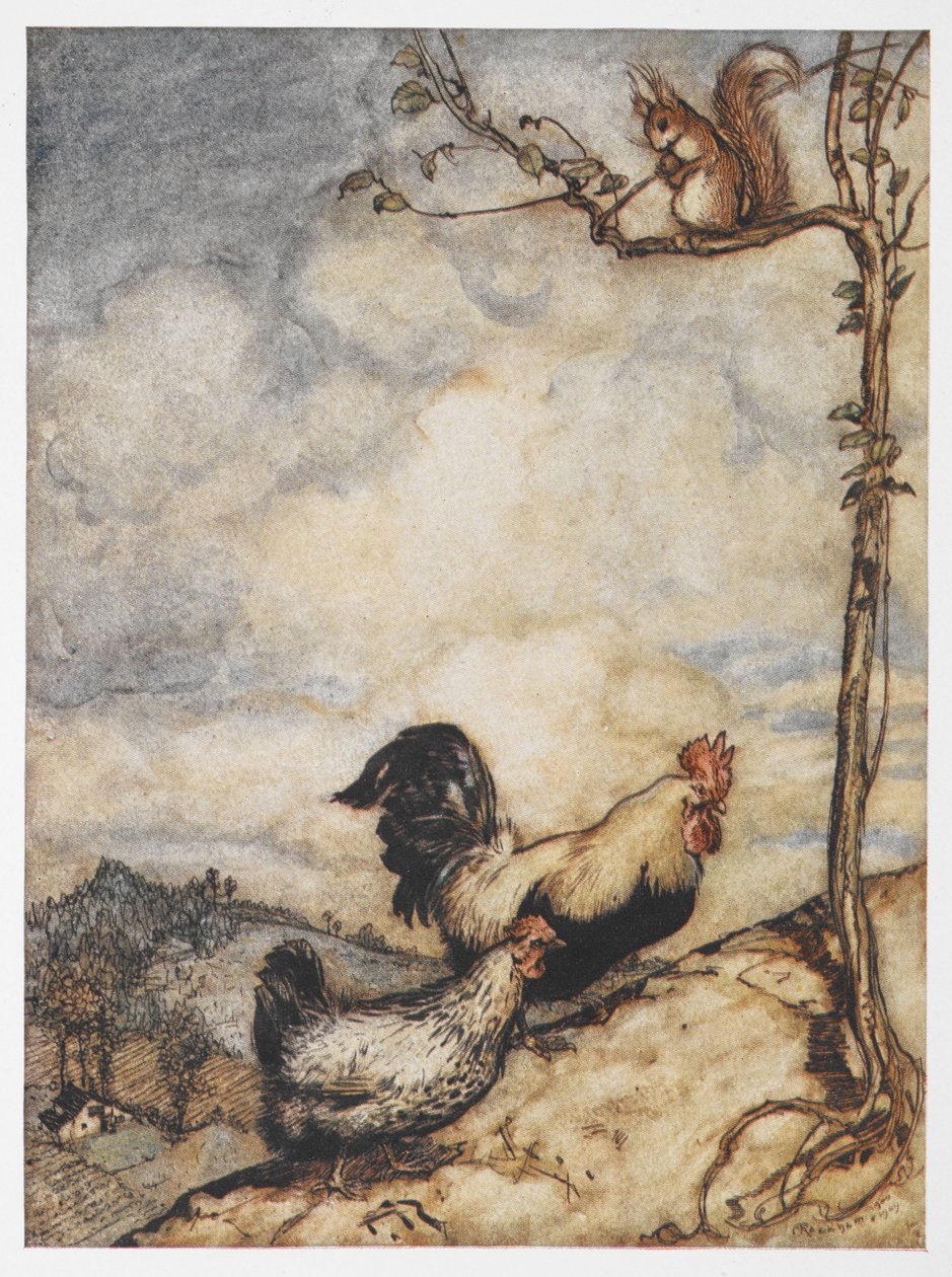 En illustration av en höna, tupp och ekorre från The Adventures of Chanticleer och Partlet. av Arthur Rackham
