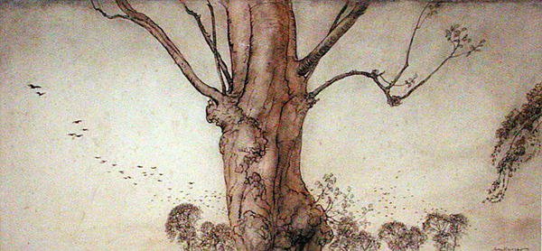 Barbaras träd (penna, bläck och akvarell på papper) av Arthur Rackham