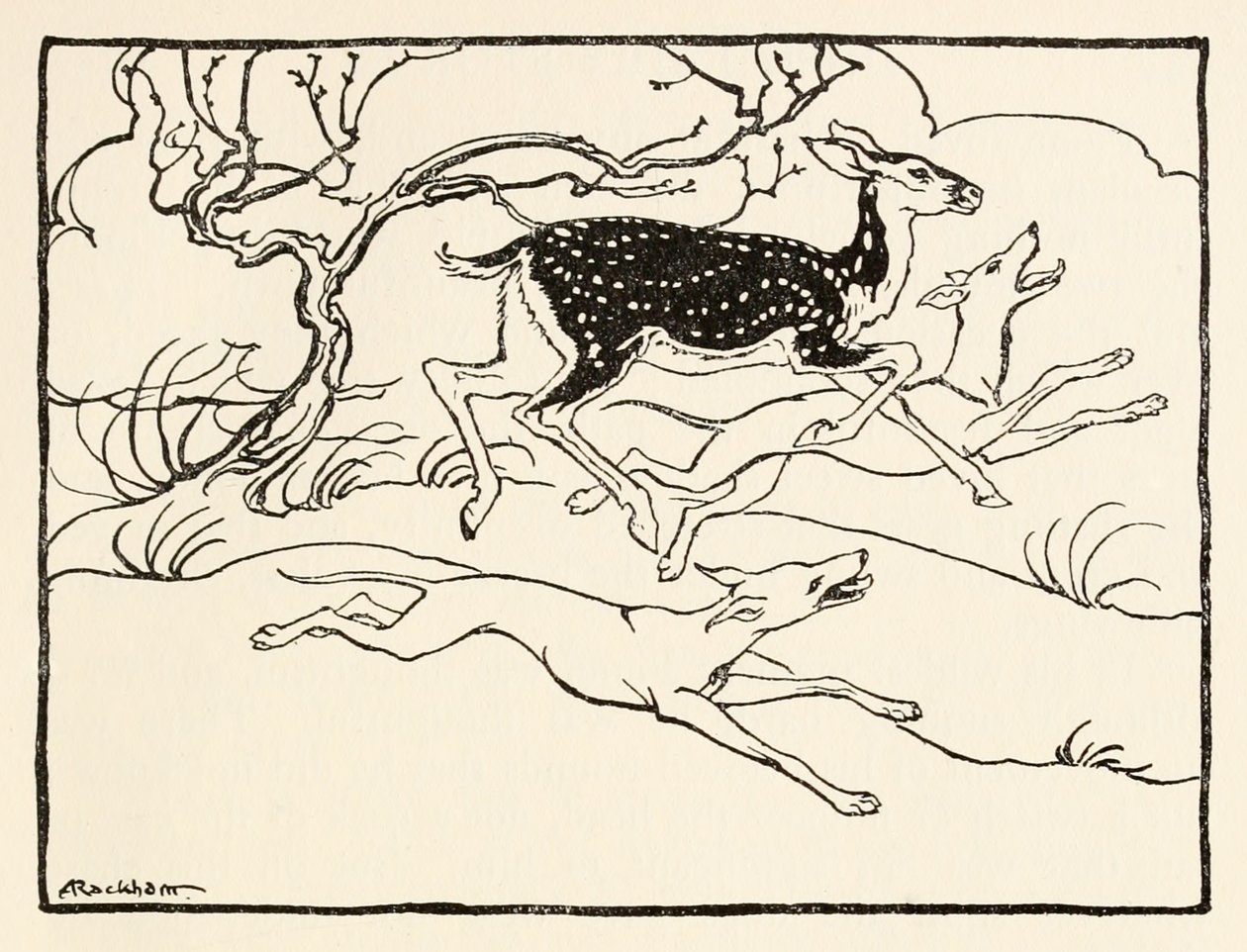 Becfola in her chariot från The Wooing of Becfola in Irish Fairy TalesSe besk. av Arthur Rackham