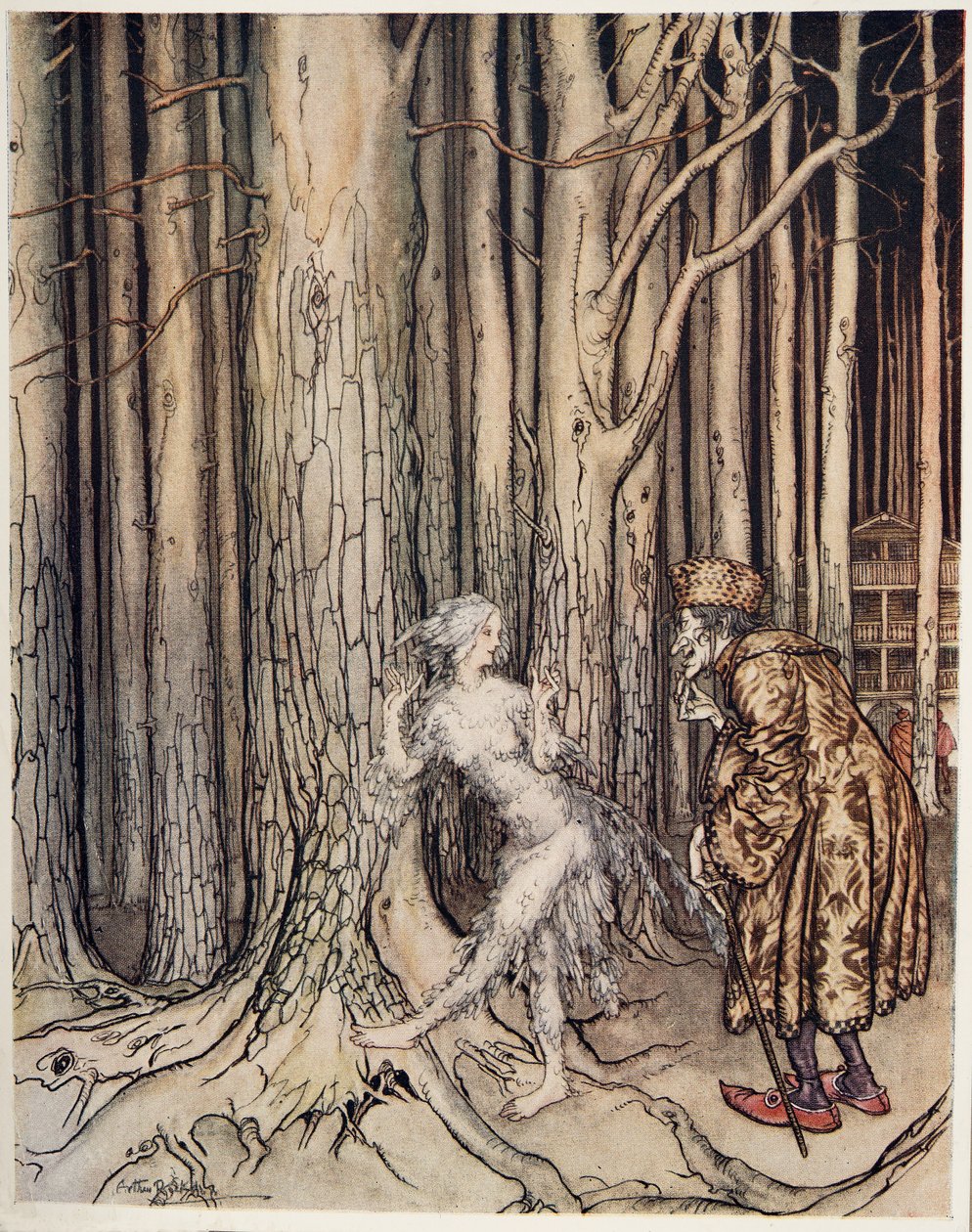 Fitchers Bird, från Little Brother & Little Sister and Other Tales by the Brothers Grimm, pub.1917 av Arthur Rackham