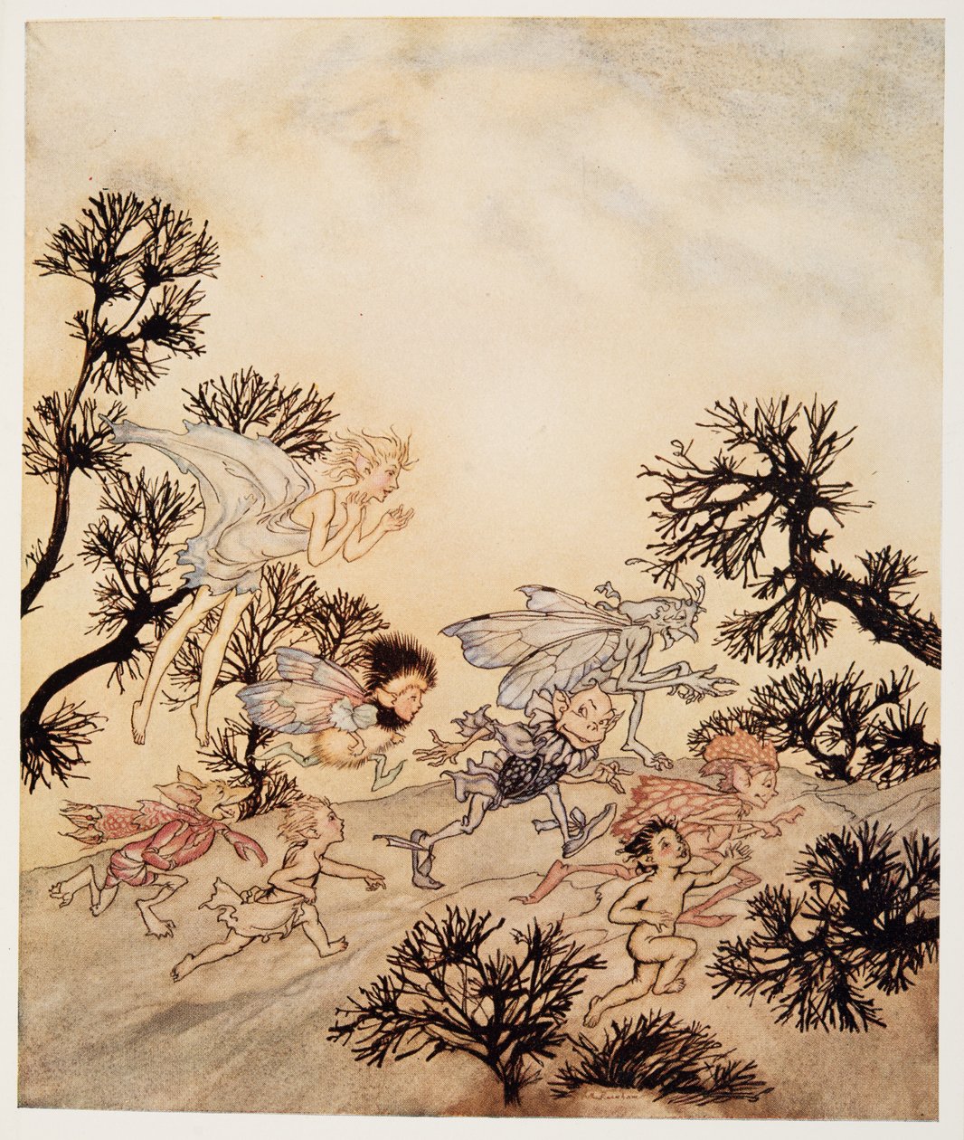 Gå och anklaga mina troll att de slipar sina leder med torra konvulsioner, illustration från William Shakespeares The Tempest, pub. 1926 av Arthur Rackham