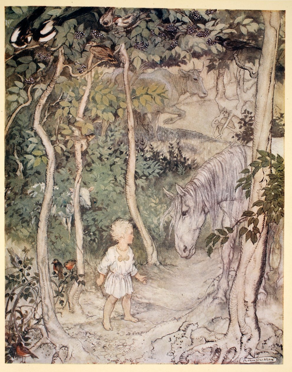 Han kanske tänker, som en stirrade på en stirrande häst, "en pojke kan inte vifta på svansen för att hålla flugorna borta", illustration från "Irish Fairy Tales" av James Stephens, 1920 av Arthur Rackham