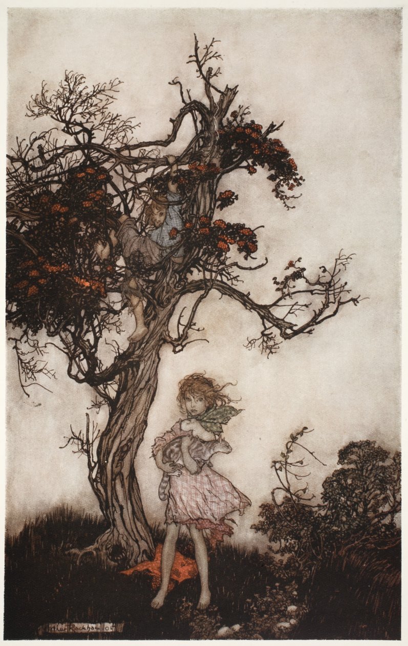 Hans barn var lika trasiga och vilda som om de inte tillhörde någon., från Rip Van Winkle av Washington Irving, pub. 1910 av Arthur Rackham