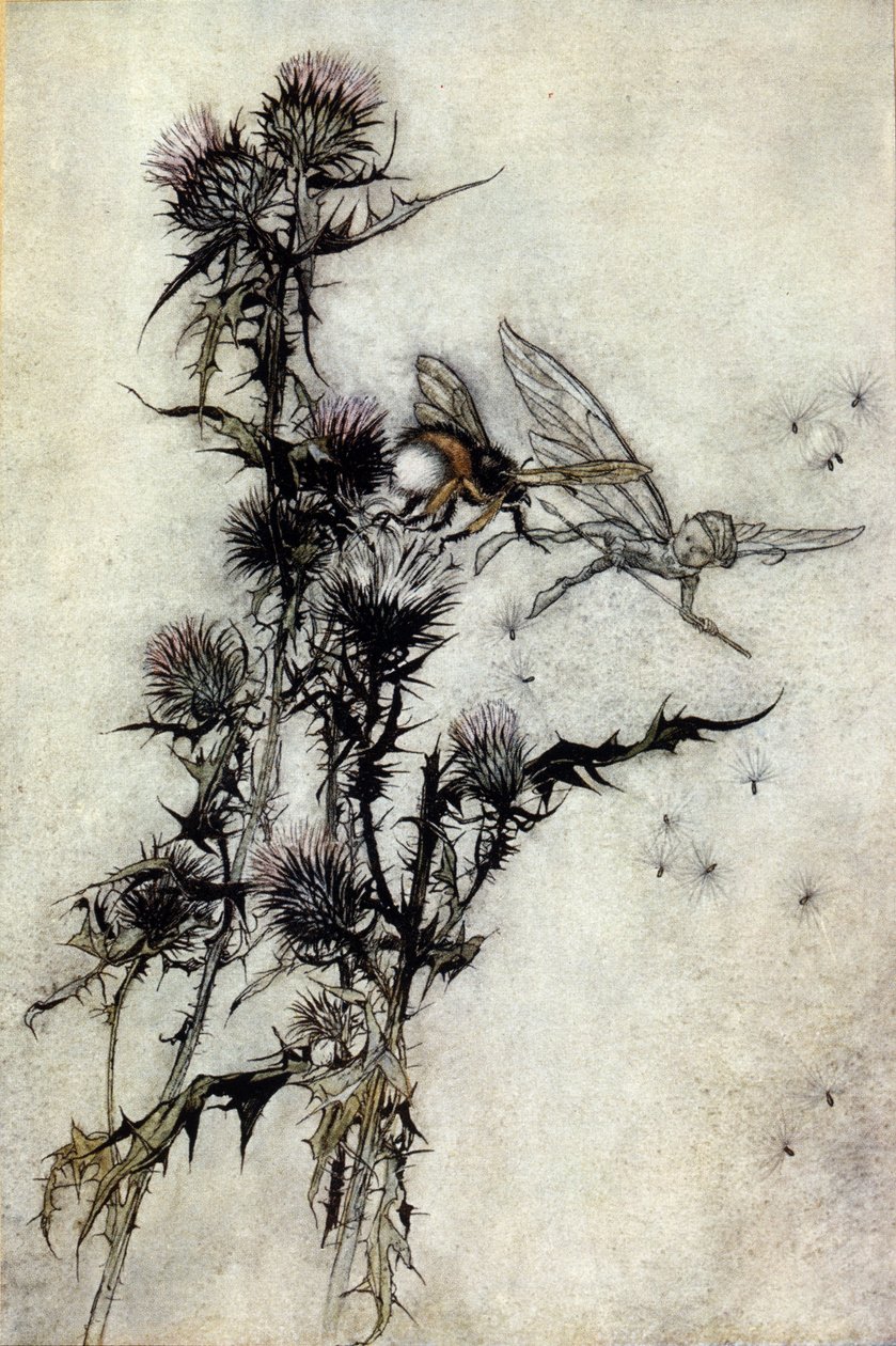 Illustration av Arthur RACKHAM (1867-1939) för The Dream of a Summer Night av William SHAKESPEARE av Arthur Rackham