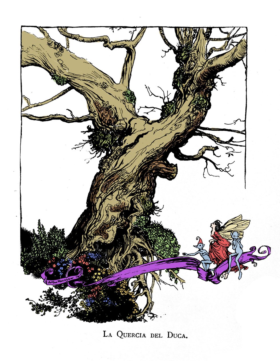 Illustration till The Dream of a Summer Night av William SHAKESPEARE av Arthur Rackham