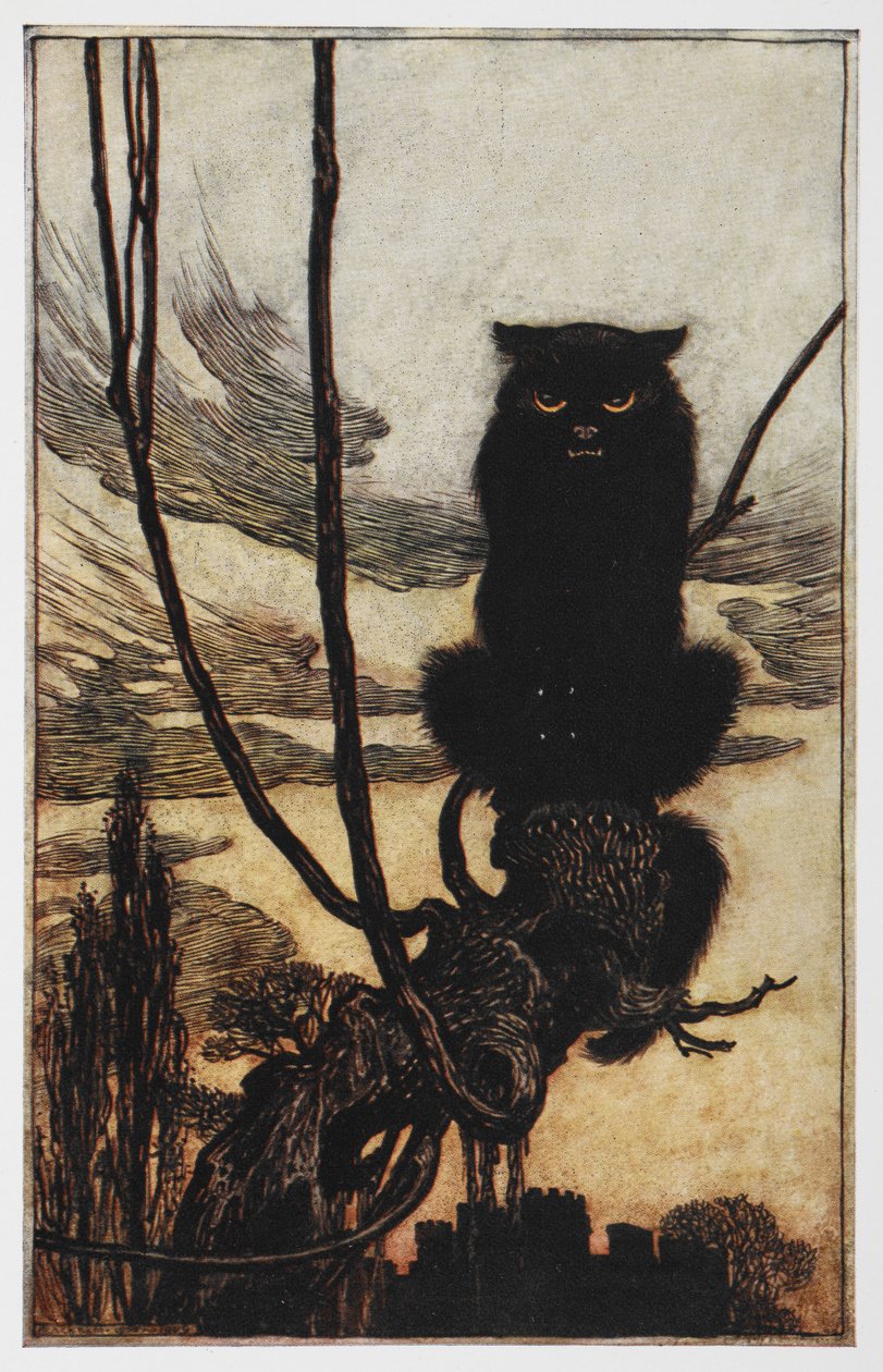Illustration från Jorinda och Joringel av en svart katt. av Arthur Rackham