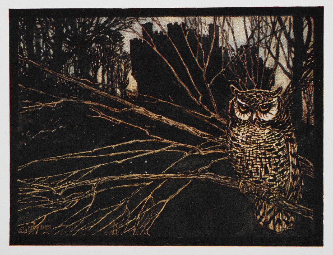 Illustration från Jorinda och Joringel av en skriande uggla. av Arthur Rackham