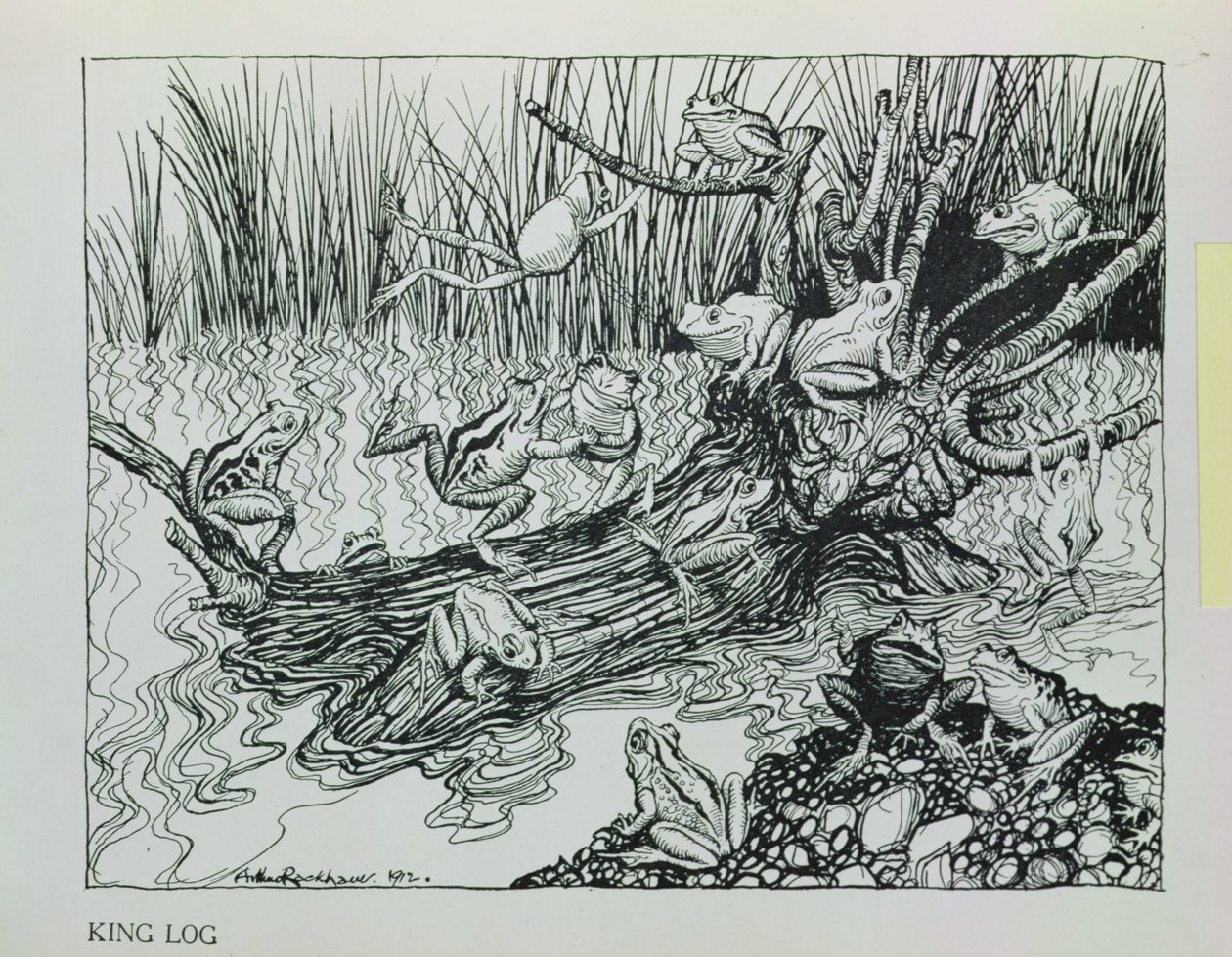 King Log, mchoro kutoka 