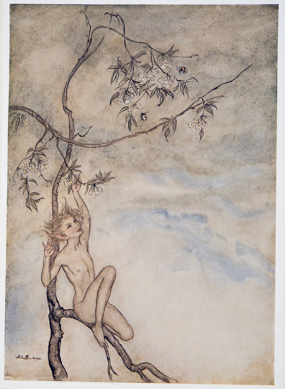 Glad, glad ska jag leva nu under blomman som hänger på grenen, illustration från William Shakespeares The Tempest, pub. 1926 av Arthur Rackham
