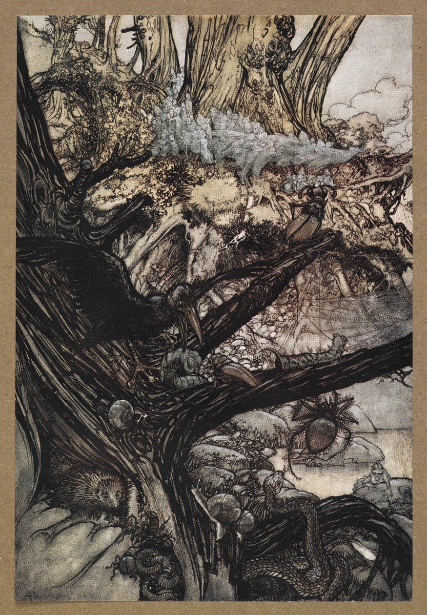 Aldrig skada, inte besvärjelse eller charm, kom vår vackra dam nära. En scen ur "En midsommarnattsdröm". av Arthur Rackham
