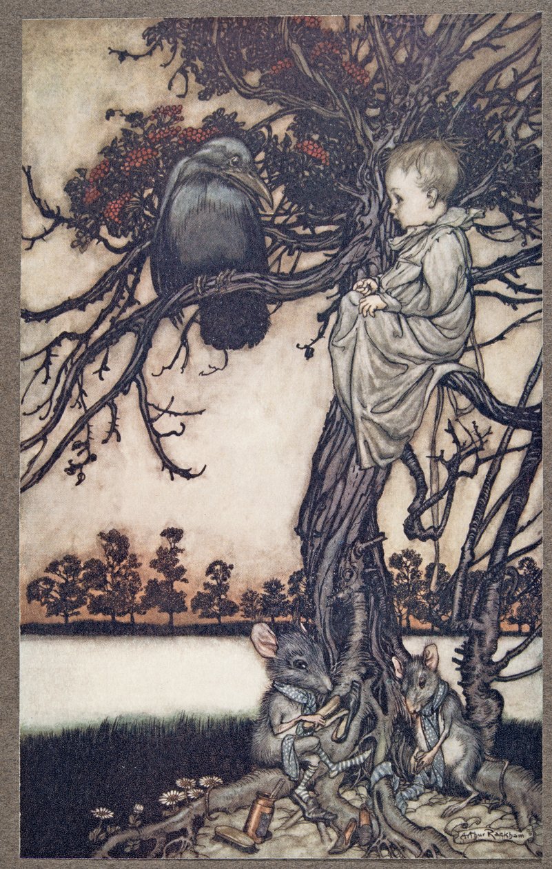 Lägg hans konstiga fall framför Old Solomon Caw, från Peter Pan i Kensington Gardens av J M Barrie (1860 - 1937), pub. 1906 av Arthur Rackham