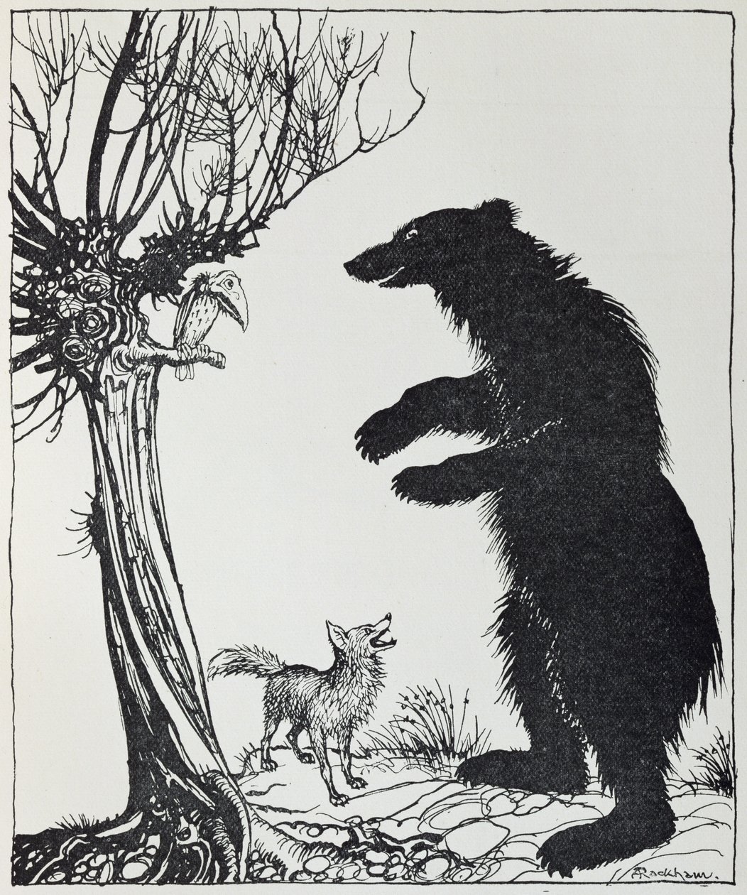 Björnen och räven, illustration från "Aesops fabler", publicerad av Heinemann, 1912 av Arthur Rackham