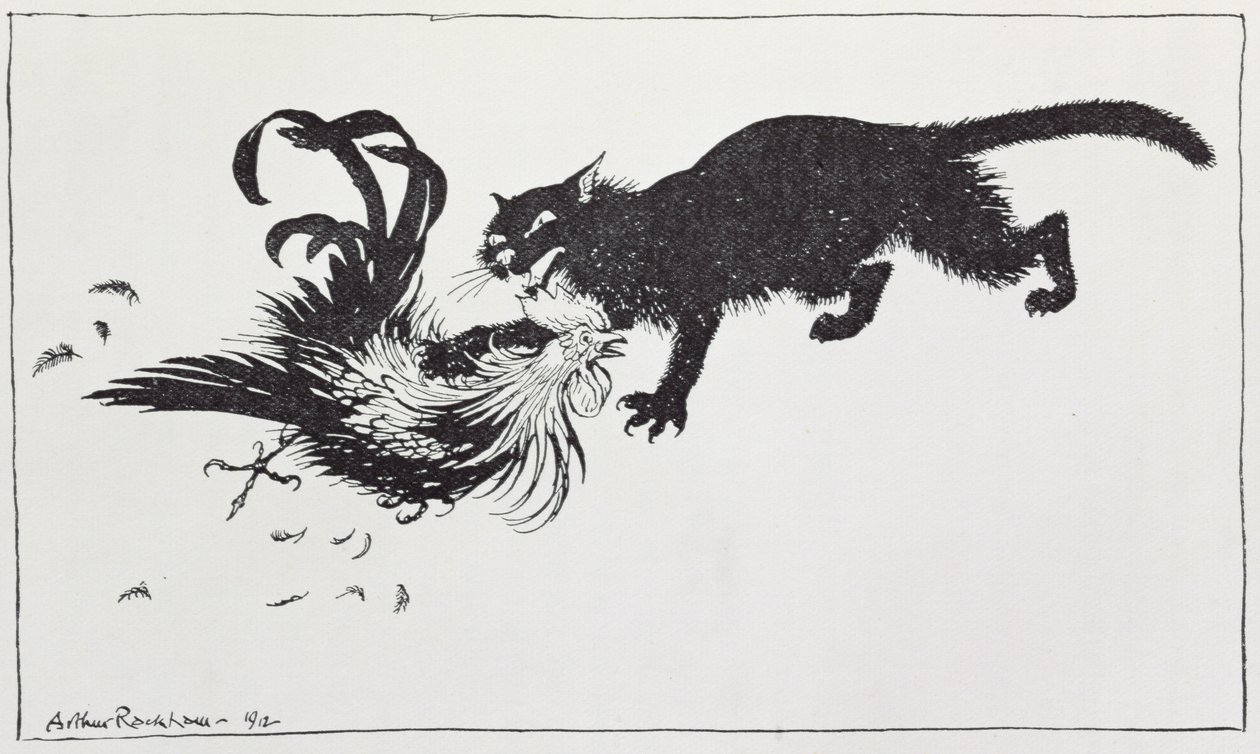 Katten och hanen, illustration från "Aesops fabler", publicerad av Heinemann, 1912 av Arthur Rackham