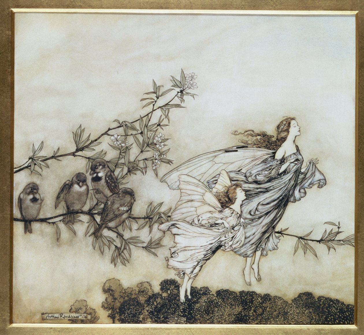 Feerna har sin Tiff with the Birds, illustration från 1906 för Peter Pan i Kensington Gardens av J.M. Barrie, pub. 1906 (bläck och wc) av Arthur Rackham