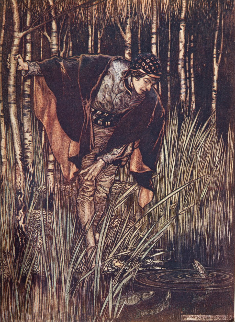 Fiskarna sträckte i sin glädje upp sina huvuden över vattnet och lovade att belöna honom, från The Fairy Tales of the Brothers Grimm, pub. 1909 av Arthur Rackham