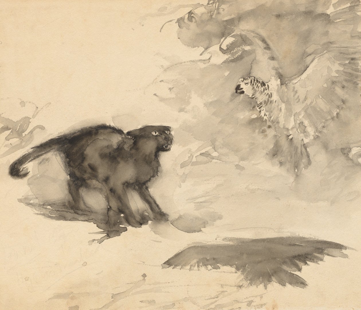 Papegojan och katten (skiss för "God natt" av Eleanor Gates) av Arthur Rackham
