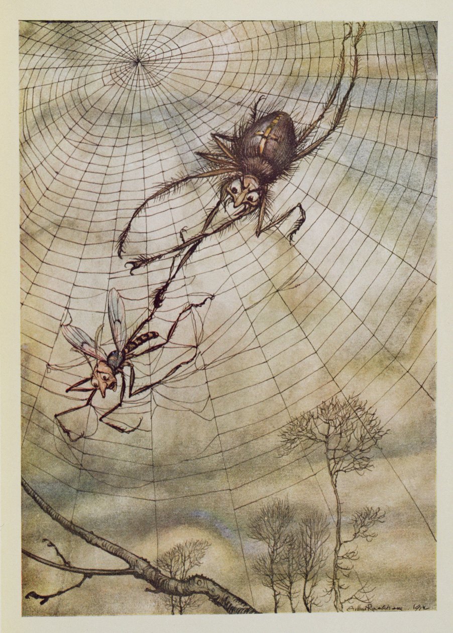 Spindeln och flugan, illustration från "Aesops fabler", publicerad av Heinemann, 1912 av Arthur Rackham