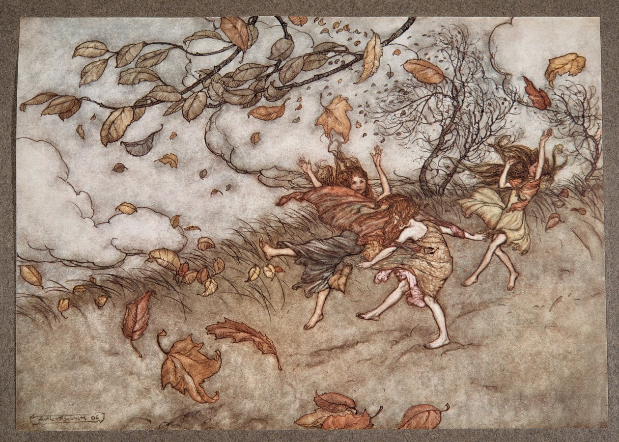 Det finns nästan ingenting som har en så stor känsla för roligt som ett fallen löv, från Peter Pan i Kensington Gardens av J M Barrie (1860 - 1937), pub. 1906 av Arthur Rackham