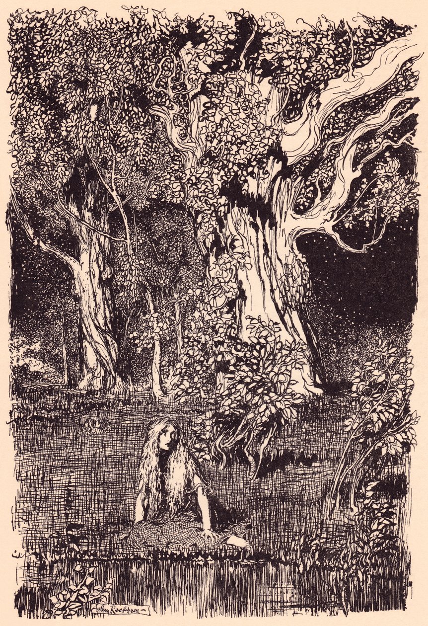 Där satt hon och skulle ha blivit sittande länge om det inte hade prasslat och knäckt i grenarna på närmaste träd. Illustration av Arthur Rackham från Grimms saga Gåsflickan vid brunnen. av Arthur Rackham